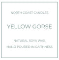 Yellow Gorse Candle