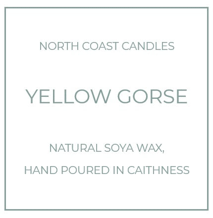 Yellow Gorse Candle Tin